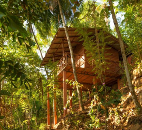 Отель Polwaththa Eco Lodges  Digana